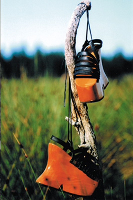 shoes5